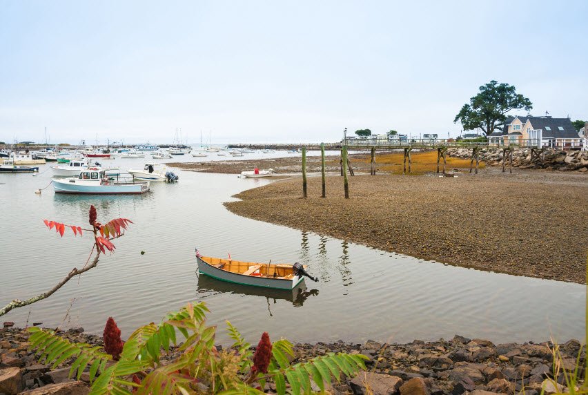 Rye Harbor State Park, New Hampshire, USA